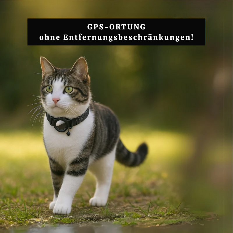 PawTrack™ | GPS-Haustier-Tracker mit reflektierendem Nylonhalsband